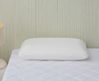 Daniel Brighton Memory Foam Low Profile Pillow