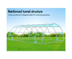 ALFORDSON Greenhouse Dome Shed Walk-in Tunnel Plant Garden 6mx4mx2m