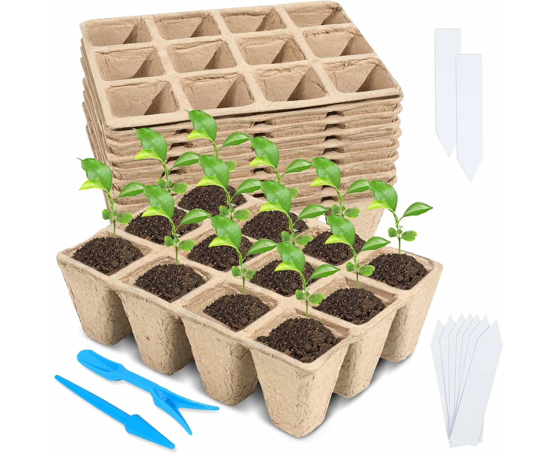 10 Packs Seed Starter Trays/120 Cells Biodegradable Seed Starter Pots Germination Seedling Trays/Value Germination Kit with 20 Labels/2 Tools