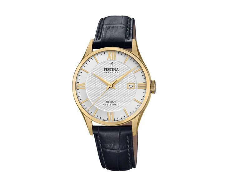 Festina F20010_2 Watch