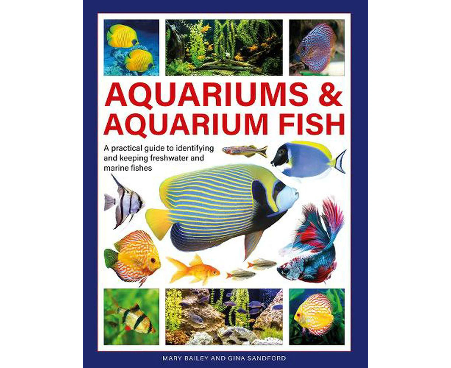 Aquariums & Aquarium Fish