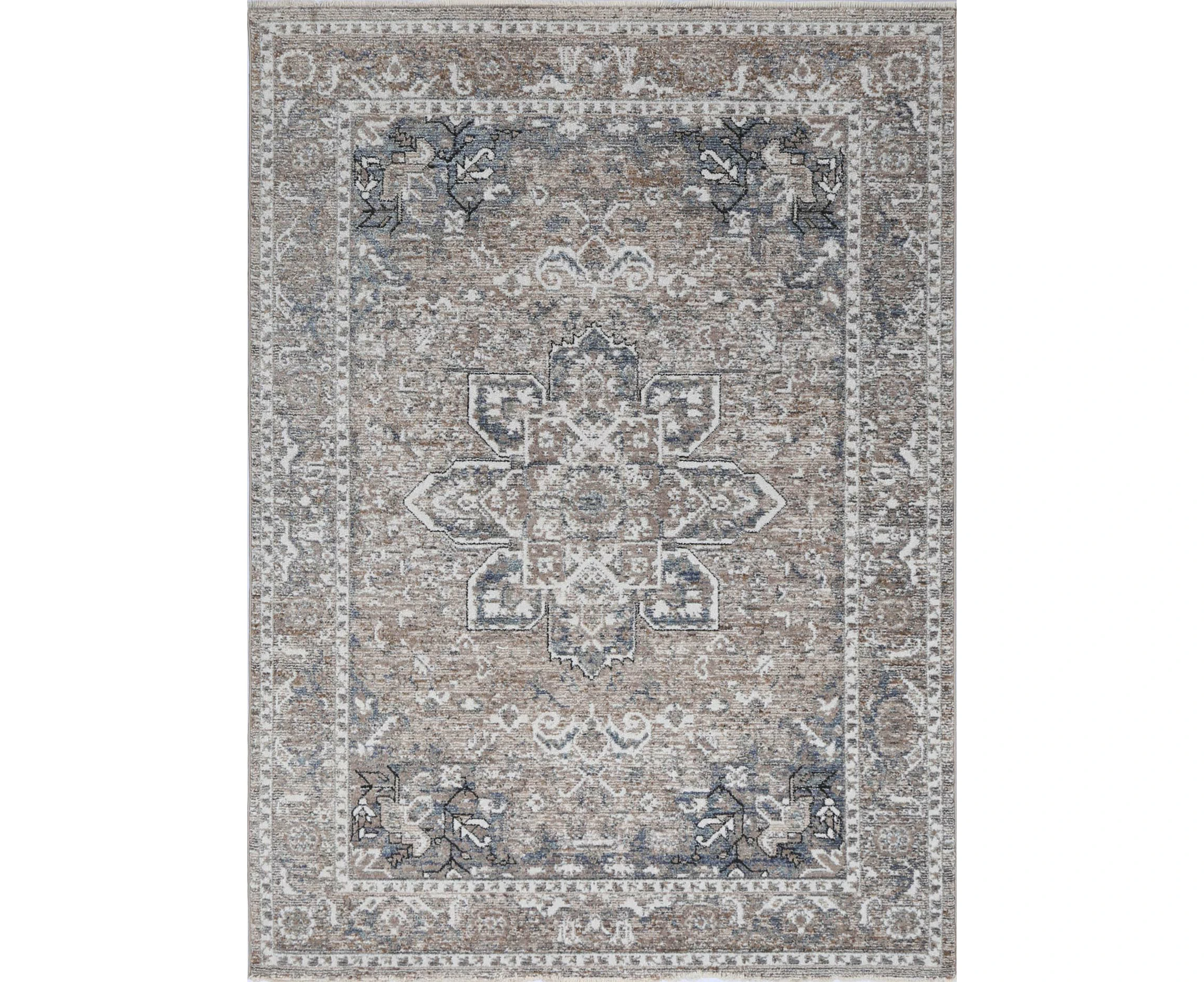 Edgar Virginia Medallion Transitional Ash Rug