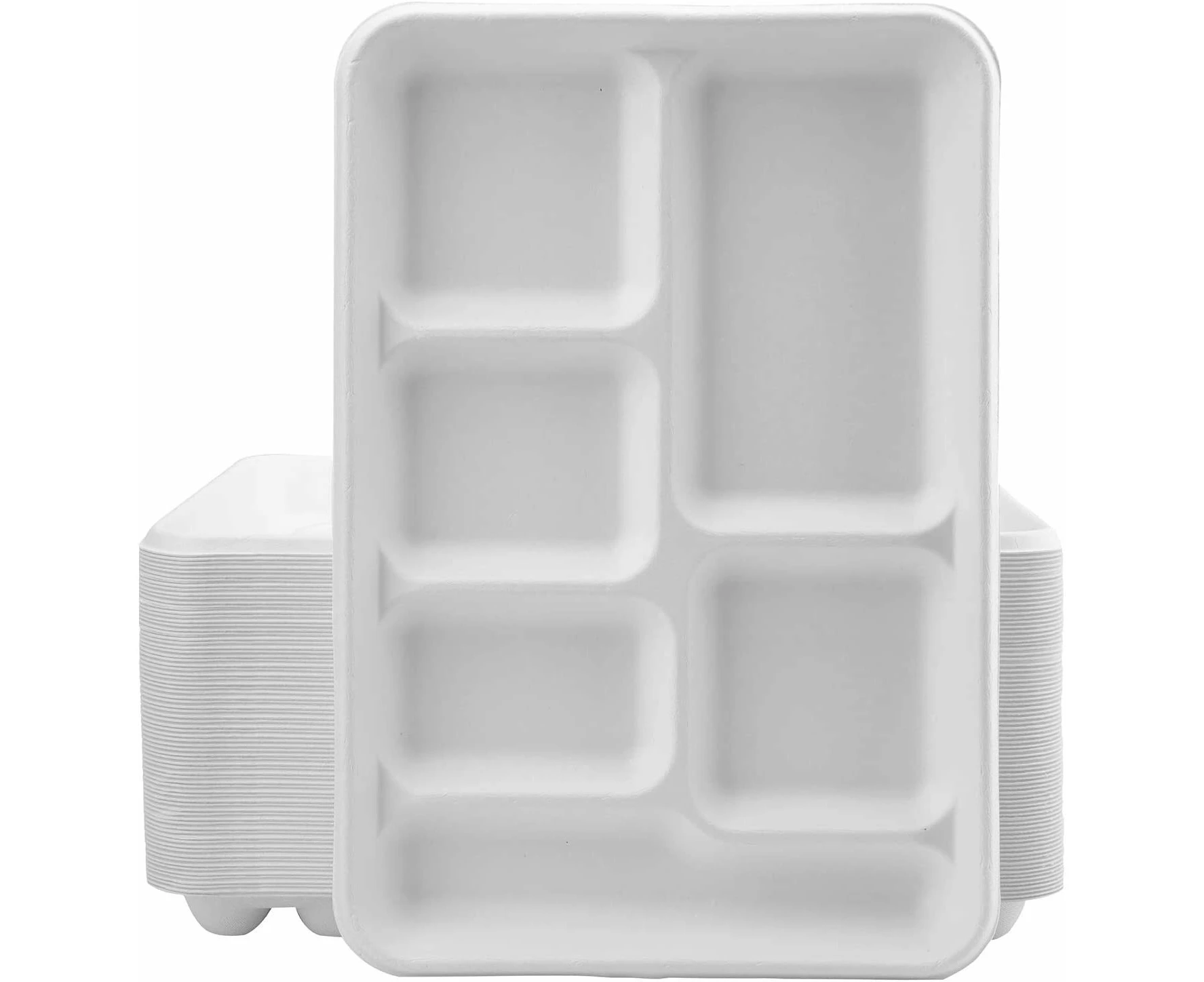 240pcs Sugarcane Bagasse 6 Compartment Lunch Paper Tray Plates 32x22cm (12.5" x 8.6") Bulk