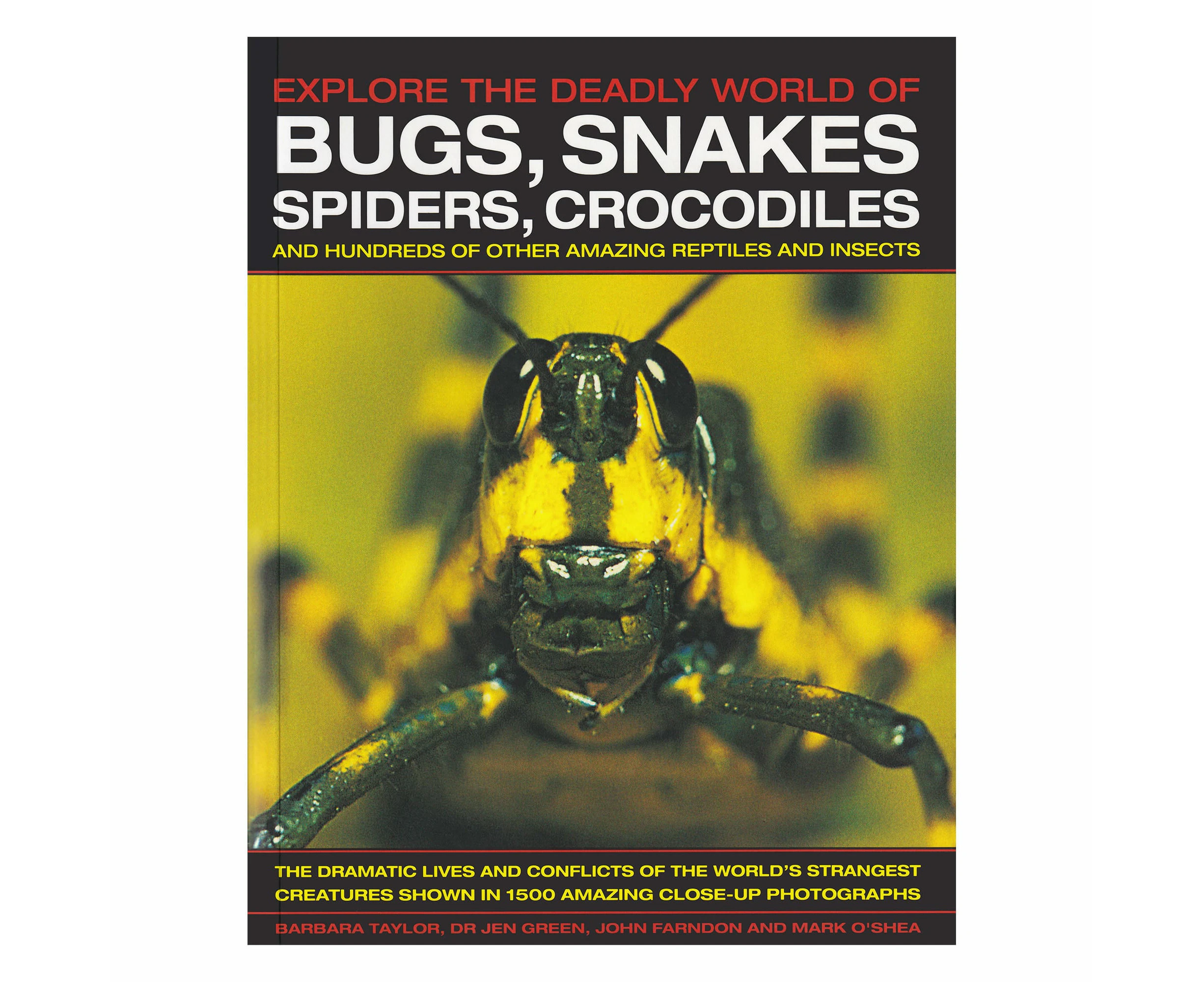 Explore The Deadly World Of Bugs, Snakes, Spiders, Crocodiles