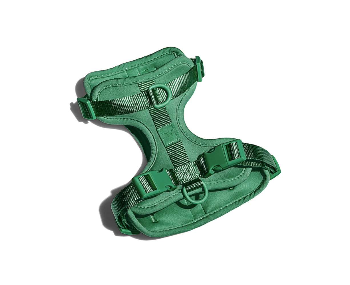 WILD ONE Dog Harness Medium - Spruce