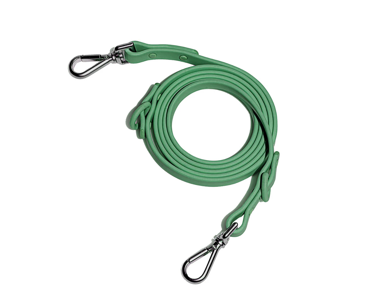 WILD ONE Dog Leash - Spruce