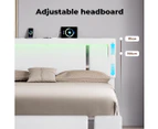 Levede Double Bed Frame Adjustable Headboard LED Lights Drawers USB Charge