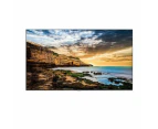 Samsung Qe55T 55Inch Lcd Digital Signage Display Cortex A72