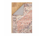 Living In Style Quean Machine Washable Rug