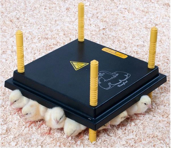 Brooder Chickplate Heating Plate