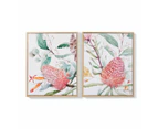 2 Pack Natives Framed Canvas - Anko