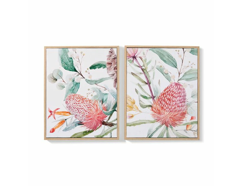 2 Pack Natives Framed Canvas - Anko