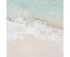 2 Pack Coastal Framed Canvas - Anko