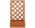 vidaXL Garden Trellis Planter Orange 50x25x90 cm Solid Firwood