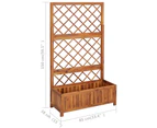 vidaXL Raised Bed with Trellis 85x38x150 cm Solid Acacia Wood