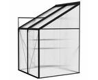 Greenhouses Greenhouse Anthracite Aluminium 2.59 M