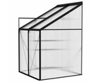 Greenhouses Greenhouse Anthracite Aluminium 2.59 M