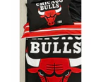 NBA Chicago Bulls Quilt Cover Set