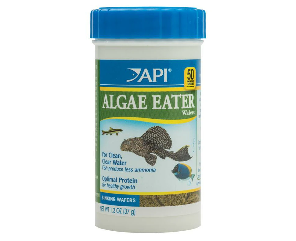 API Algae Eater Wafers 37g