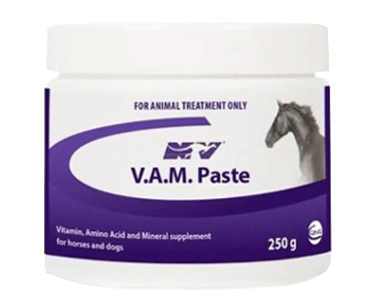 Ceva V.A.M. Vitamin Mineral Supplement Horse Dog Paste 250g