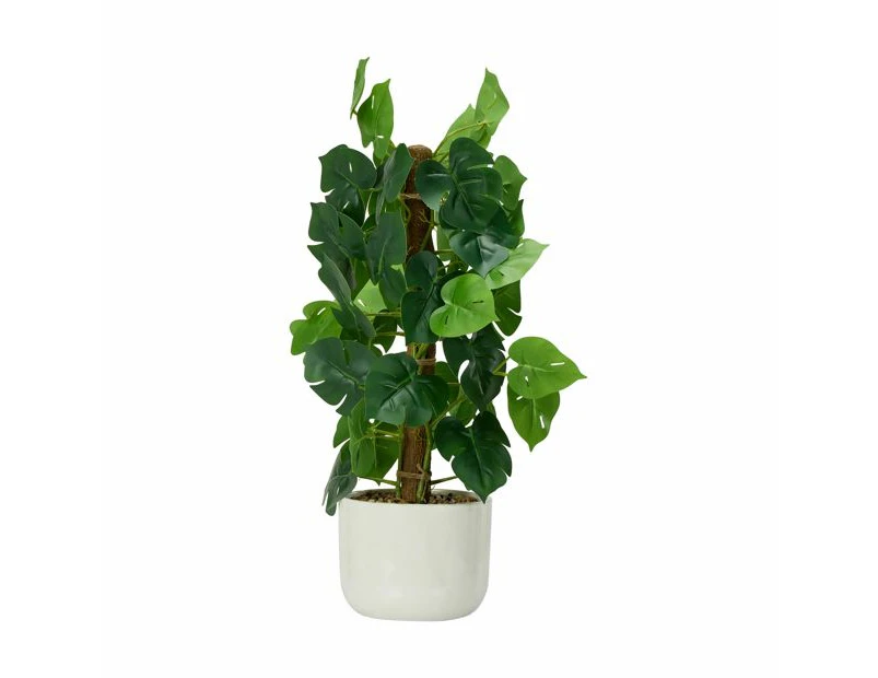 Artificial Climbing Monstera in Pot - Anko