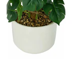 Artificial Climbing Monstera in Pot - Anko