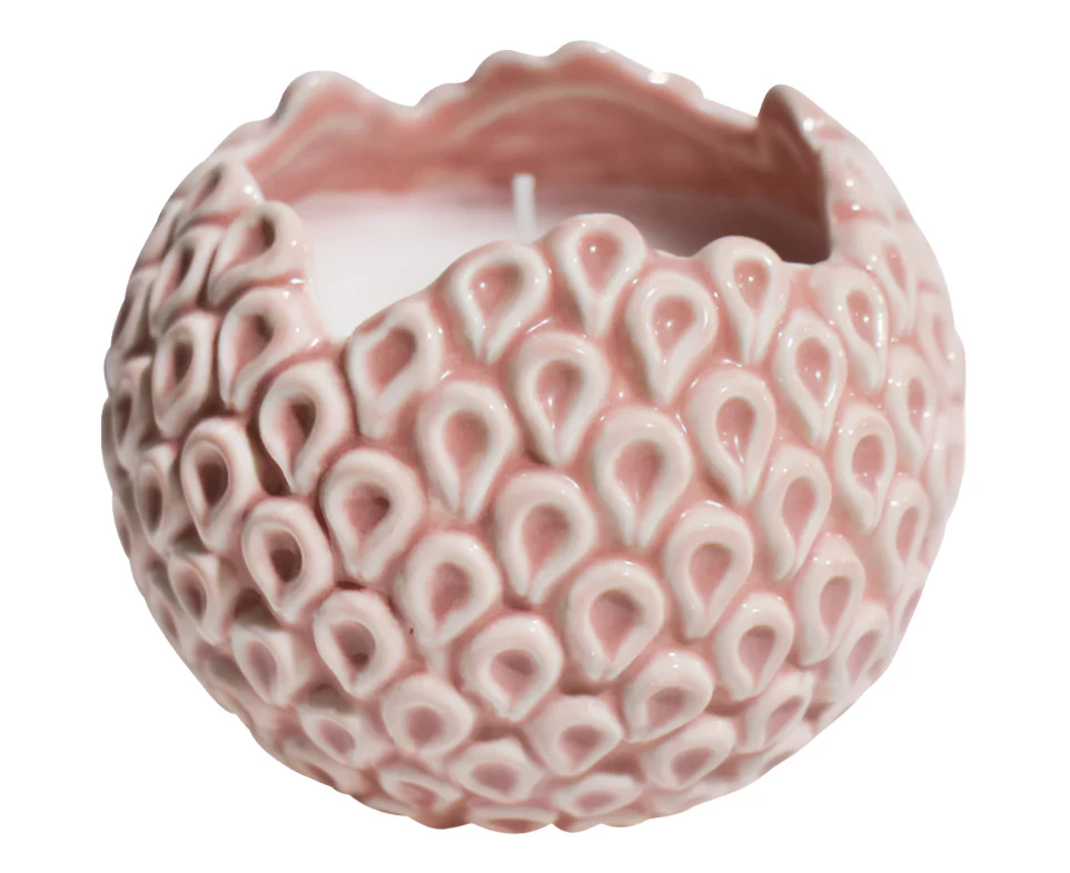 Lavida Candle Barnacle Rose