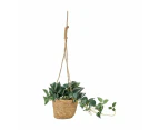 Artificial Zebrina in Hanging Pot - Anko