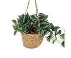 Artificial Zebrina in Hanging Pot - Anko