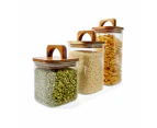 Set of 3 Linear Glass Canisters with Acacia Lids - Anko