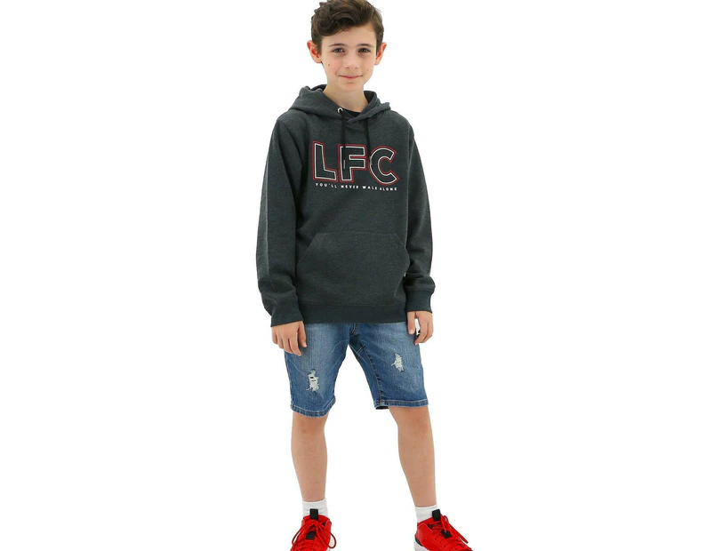 Liverpool FC Youth Boys Hoodie Jumper LFC Anfield Hoody - Grey