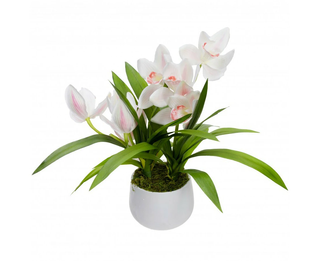 43cm Faux Cymbidium in Pot Artificial Flower Fake - Cream