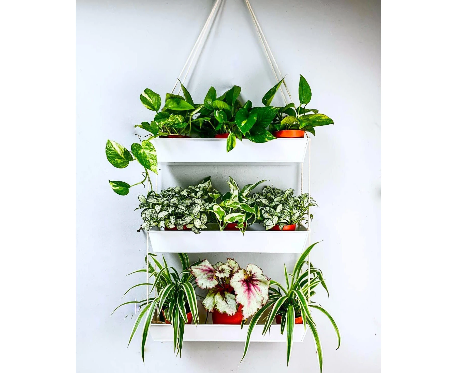 LaLaGreen Hanging Wall Planter - 16 Inch Three Tier Plant Hanger for Succulent Indoor Herb Planter Modern White Boho Metal Wall Plant Holder Decor, Vertica