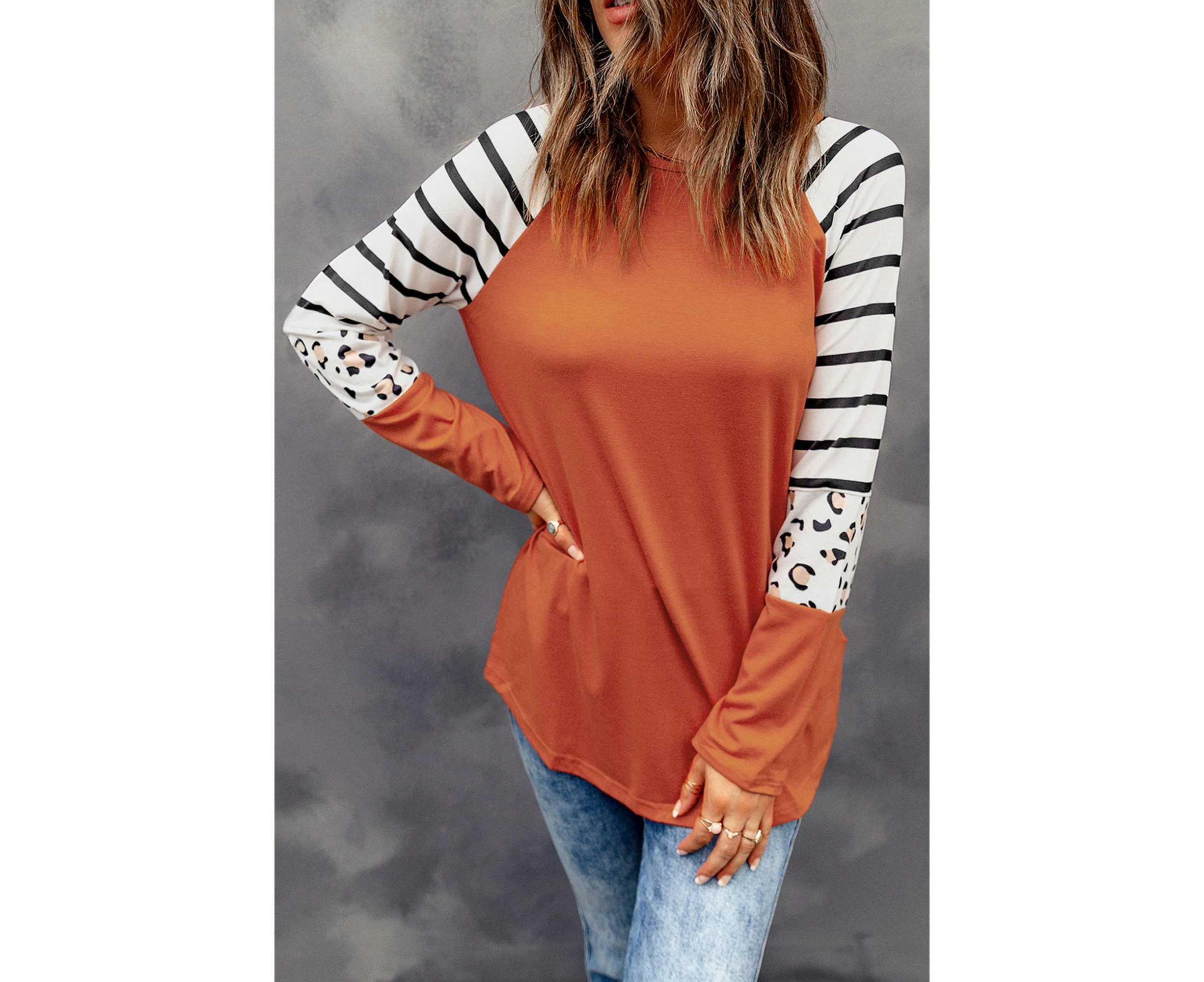 Azura Exchange Animal Print Long Sleeve Top with Striped Colorblock