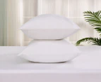 Daniel Brighton Percale Cotton Pillowcase 2-Pack - White