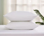 Daniel Brighton Percale Cotton Euro Pillowcase 2-Pack - White