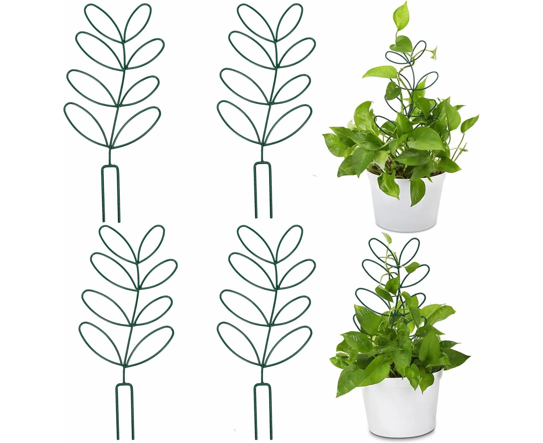 Yharnamite 4 Pcs Indoor Plant Support, Plant leaf stand, Leaf-Shaped Trellis, Plant Stakes, Climbing Plant Support, Houseplants Decoration, Graden Plant Tr