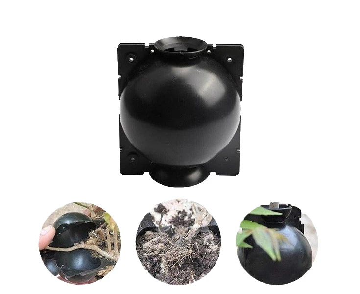 Hansona 5PCs Plant Root Growing Box