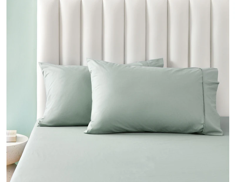 Daniel Brighton Percale Cotton King Pillowcase 2-Pack - Sage