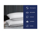 STARRY EUCALYPT Pillow Microfibre Cushion Twin Pack Soft Bed Hotel Home Set