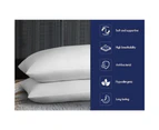 STARRY EUCALYPT Microfibre Bed Pillow 1.2kg Filling Set of 2