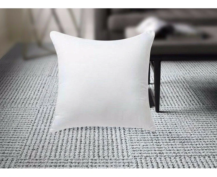 45x45/65x65cm Memory Resilient Cushion Pillow Inserts Polyester Filling