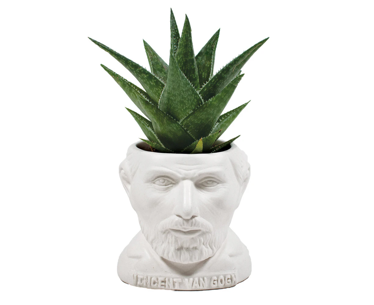 Unemployed Philosophers Guild Vincent Van Gogh Planter Herb/Plant Pot 9cm WHT