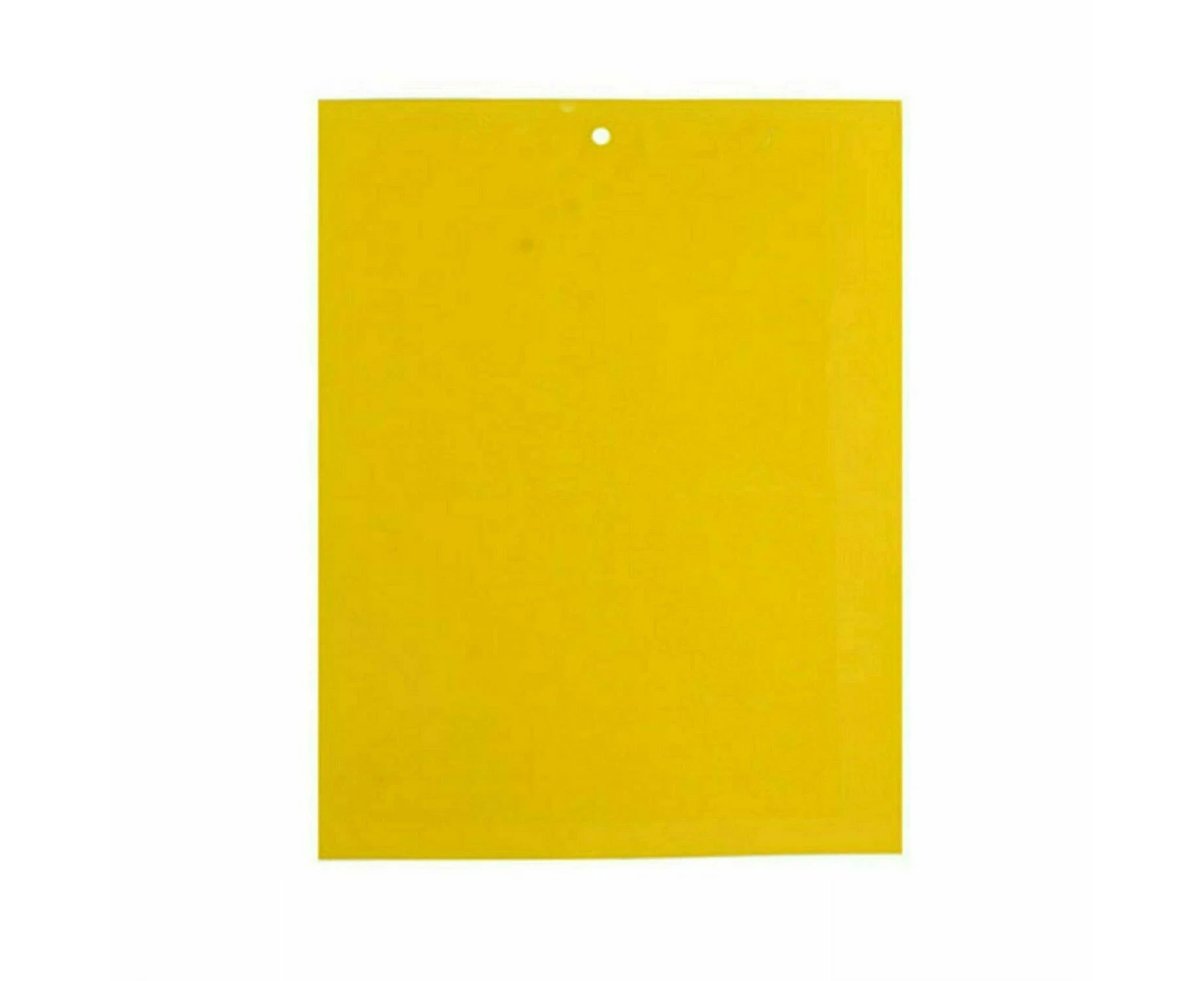 Yellow Sticky Glue Paper Insect Trap Catcher Indoor Fly Aphids Wasp