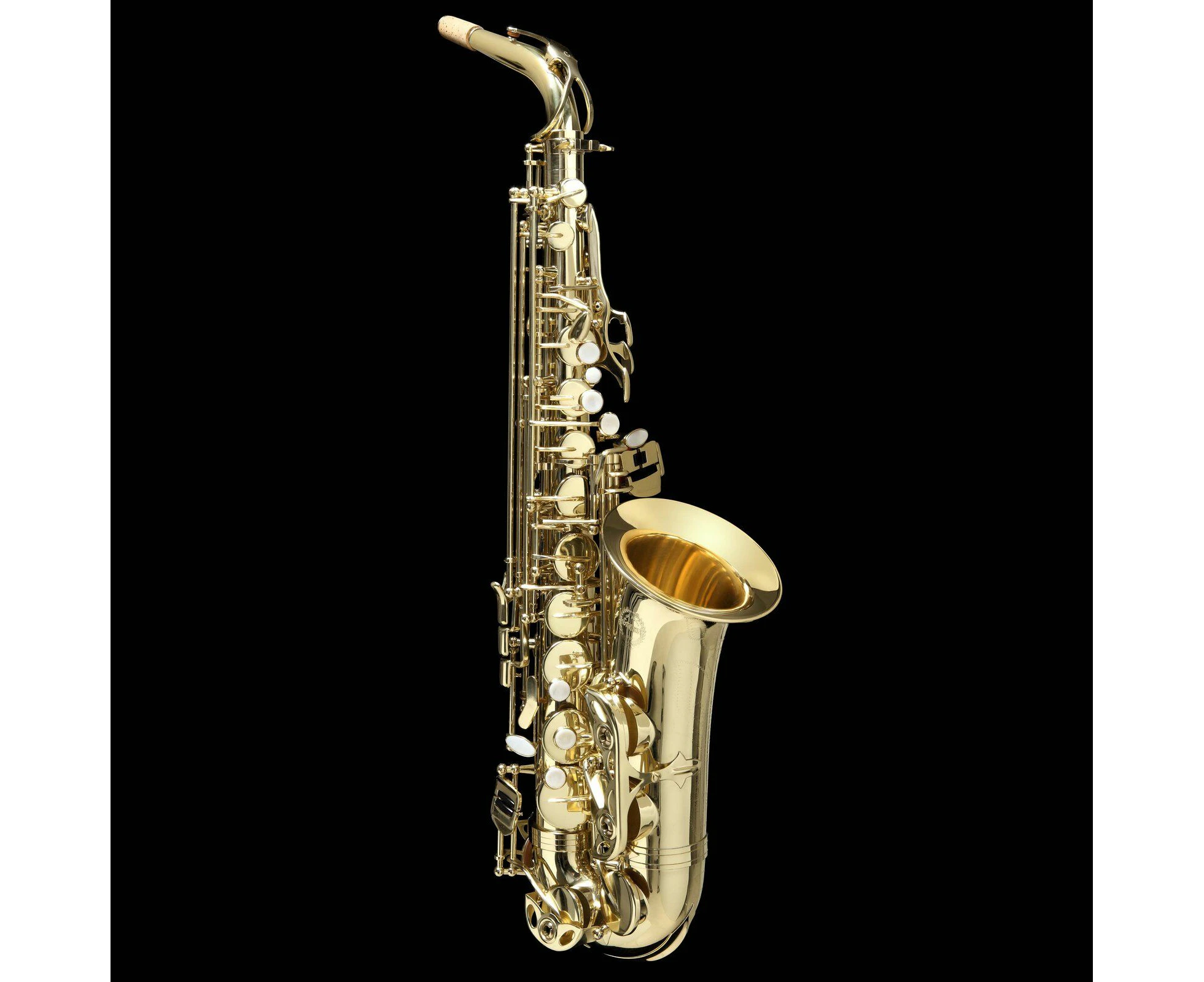 Grassi AS20SK Eb Alto Saxophone Student Kit with Accessories and Case