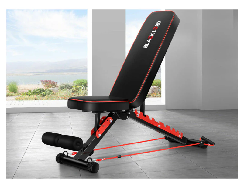 BLACK LORD Weight Bench Adjustable Flat Incline Decline Sit-up Fitness Home Gym