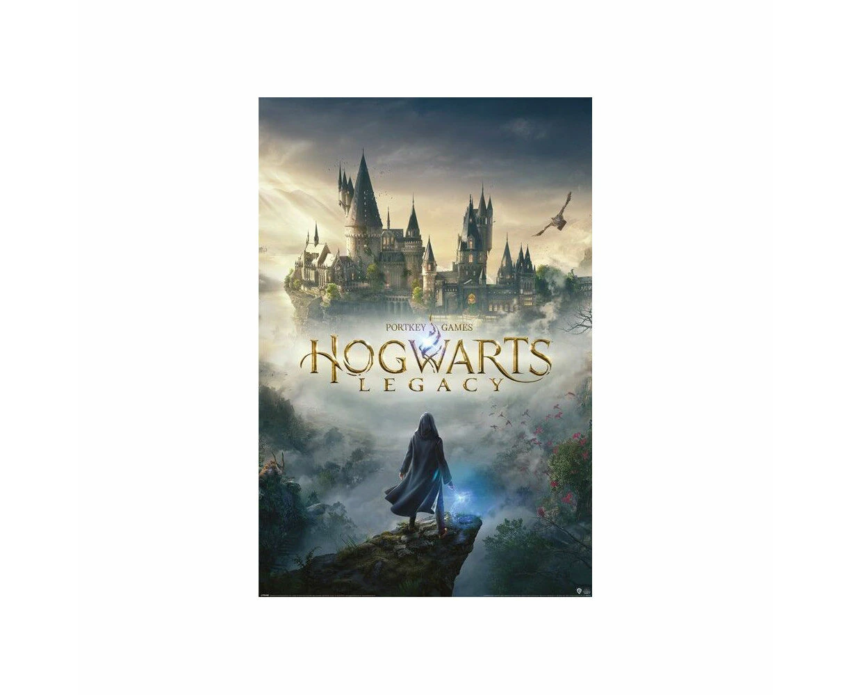 Wizarding World Harry Potter Hogwarts Legacy Poster Room Wall Decor 91x61cm