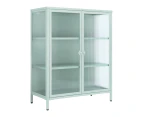 Cooper & Co. Ella 2 Door Modern Metal Cabinet