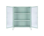 Cooper & Co. Ella 2 Door Modern Metal Cabinet