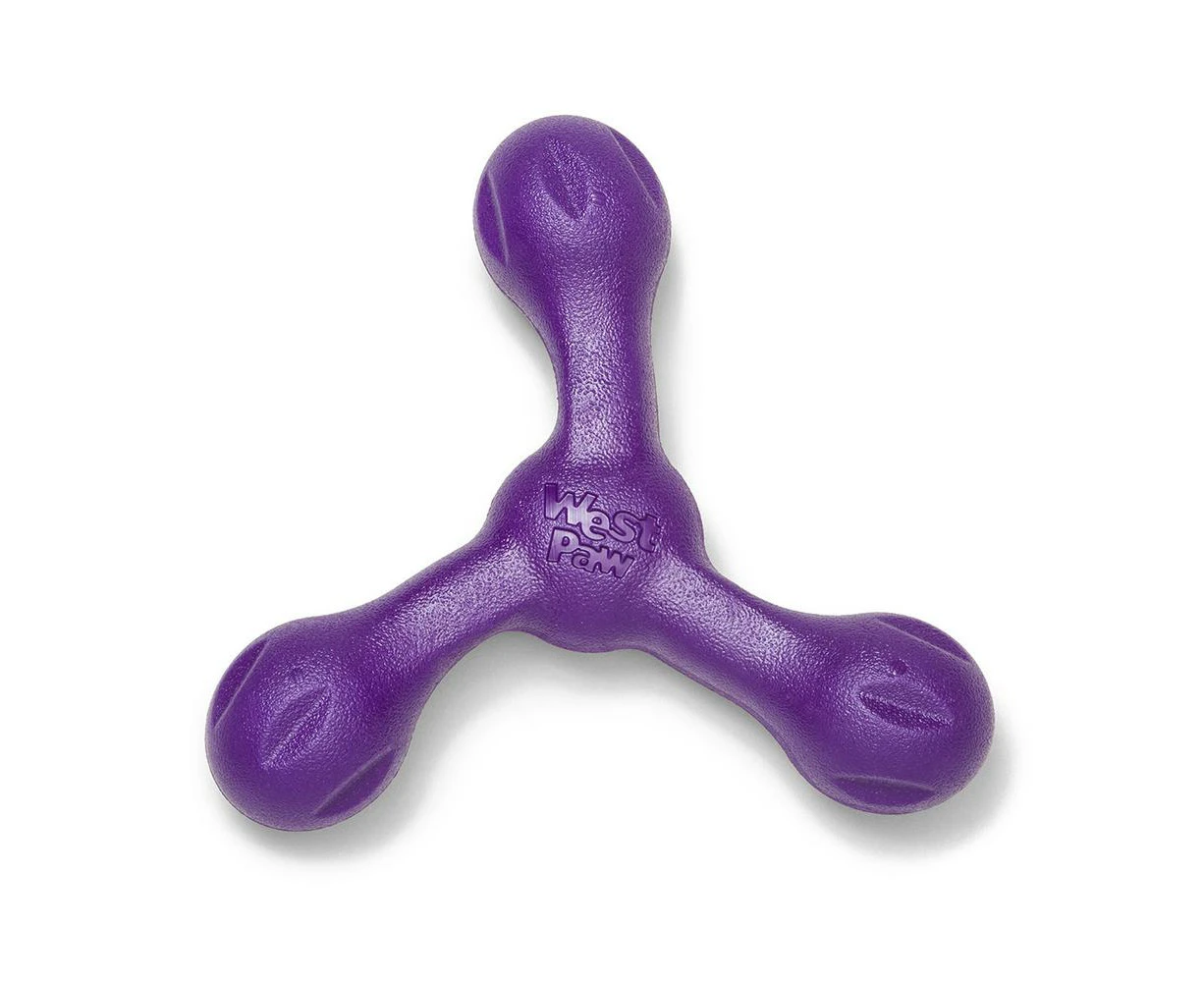 Skamp Flyer-Inspired Fetch Dog Toy (Purple) - Large